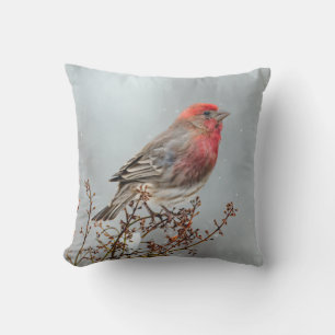 House Finch in Snow - Original Photograph Outdoor Pillow