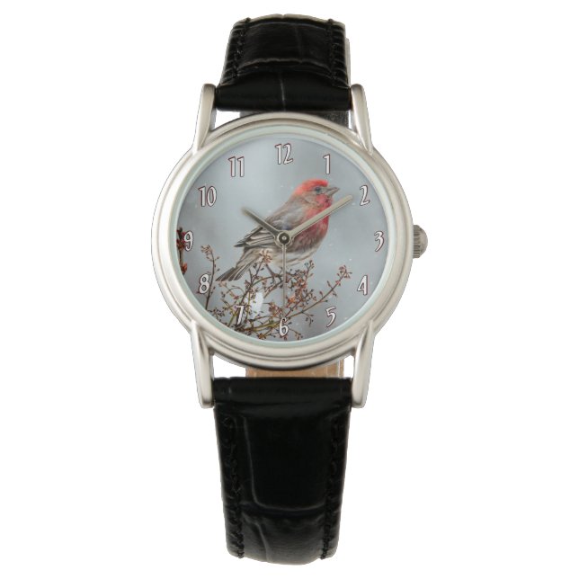 House Finch in Snow - Original Photograph Watch (Front)