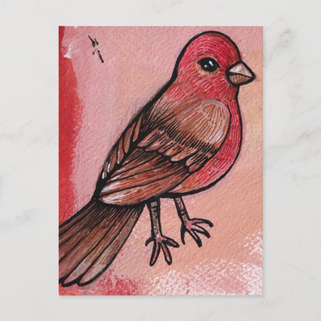 House Finch Postcard (Front)