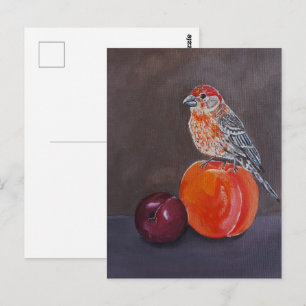 House Finch’s Midday Rest Painting by Alfred Fox Postcard