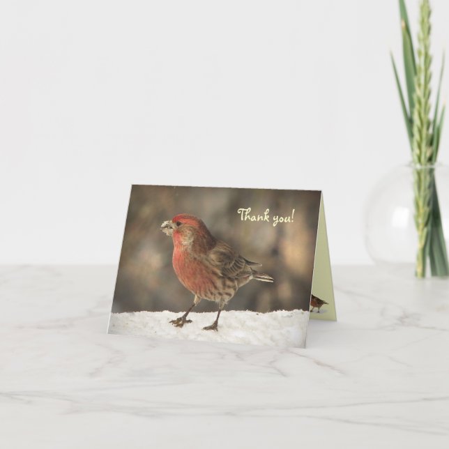 House Finch Thank You (Front)