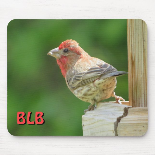 House Finch with your initials  Mouse Pad (Front)