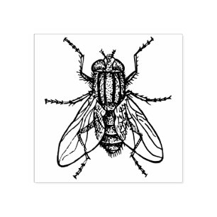 House fly rubber stamp