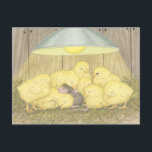 House-Mouse Designs® - Post Cards<br><div class="desc">Welcome to the Official House-Mouse Designs® Zazzle Boutique Store for Post Cards. Here is where you will find all of your favourite,  or soon to be favourite,  House-Mouse® images... . over 200 choices,  on a variety of Post Cards.</div>