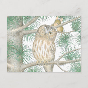 House-Mouse Designs® Postcard