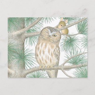 House-Mouse Designs® Postcard