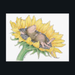 House-Mouse Designs® - Postcard<br><div class="desc">Test</div>