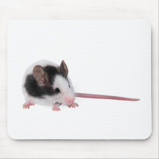 House mouse mouse pad