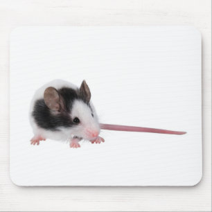 House mouse pad