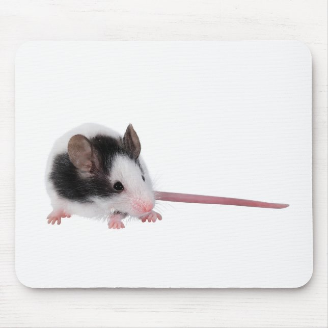 House mouse pad (Front)