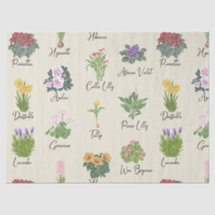 House Plants and their Names - Cute Minimal Modern Tissue Paper