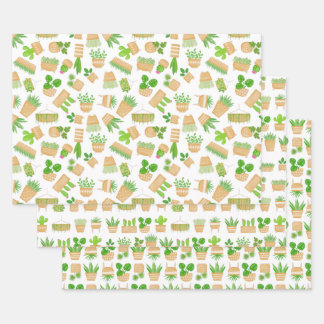 House Plants Cactus on White Wrapping Paper Sheets