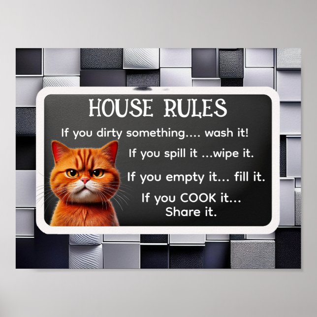 HOUSE RULES,,, by The Cat influencer Poster (Front)