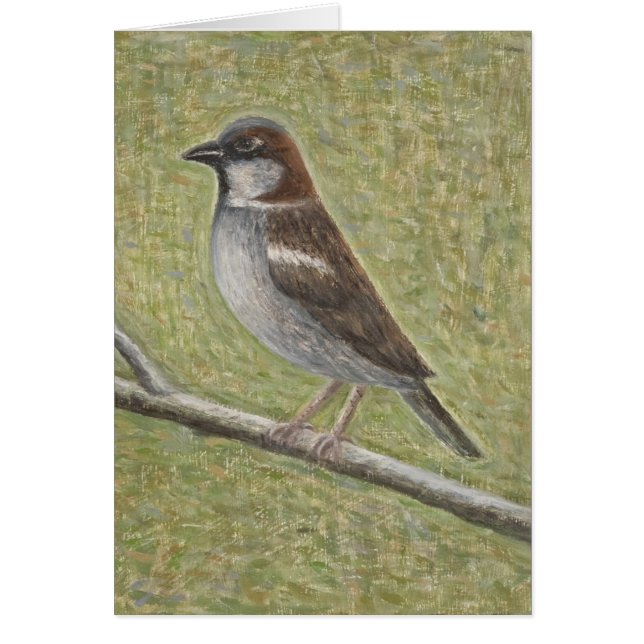 House Sparrow 2008 (Front)