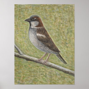 House Sparrow 2008 Poster