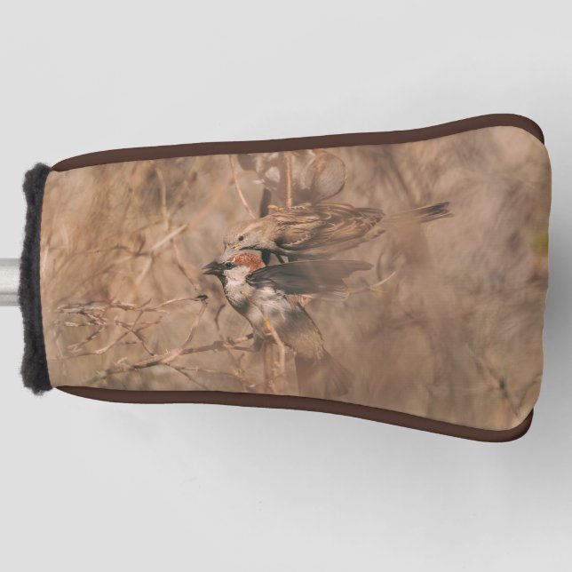 House Sparrow Birds In A Spring Bush Birdwatcher Golf Head Cover (Front)