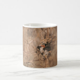 House Sparrow Birds In Spring Wildlife Photography Coffee Mug