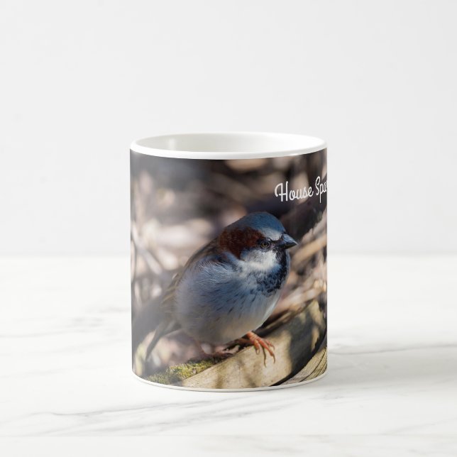 House Sparrow Coffee Mug (Center)
