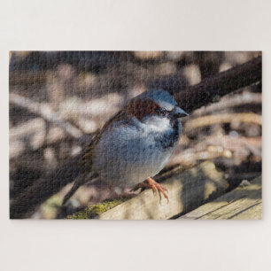 House Sparrow Jigsaw Puzzle