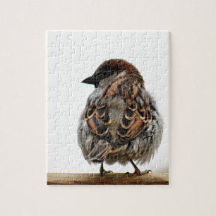 House sparrow jigsaw puzzle