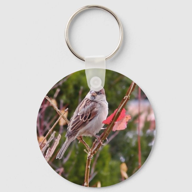 House Sparrow Keychain (Front)