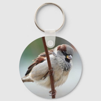 house-sparrow-male keychain