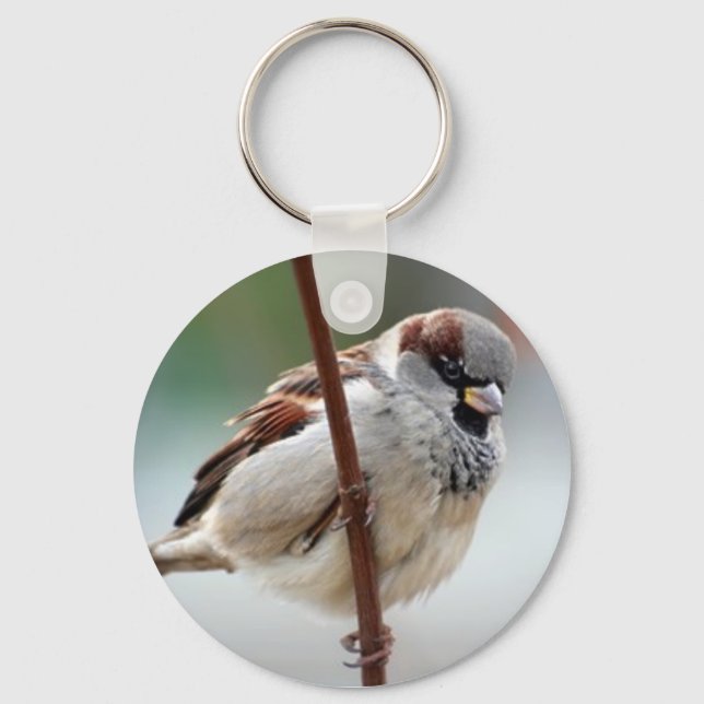 house-sparrow-male keychain (Front)