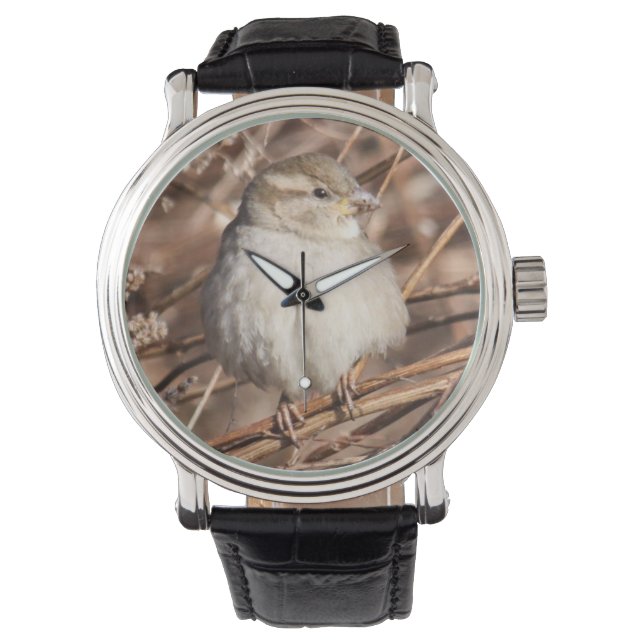 House Sparrow Watch (Front)