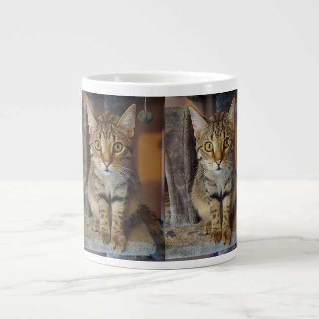 House Tiger Large Coffee Mug (Front)