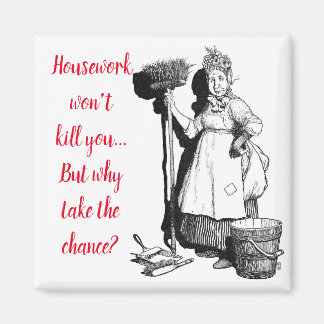 "House-work won't kill you"  Magnet