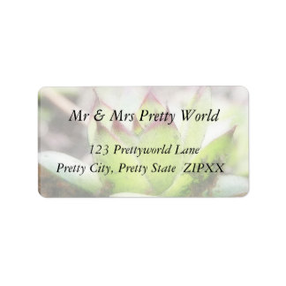 Houseleek - Sempervivum Label