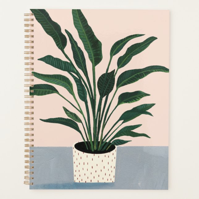 Houseplant (Devant)