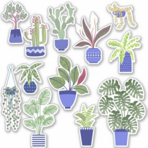 Houseplant Cactus and Succulent