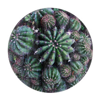 Houseplant Cactus: Nursery Beautiful Design Cutting Board
