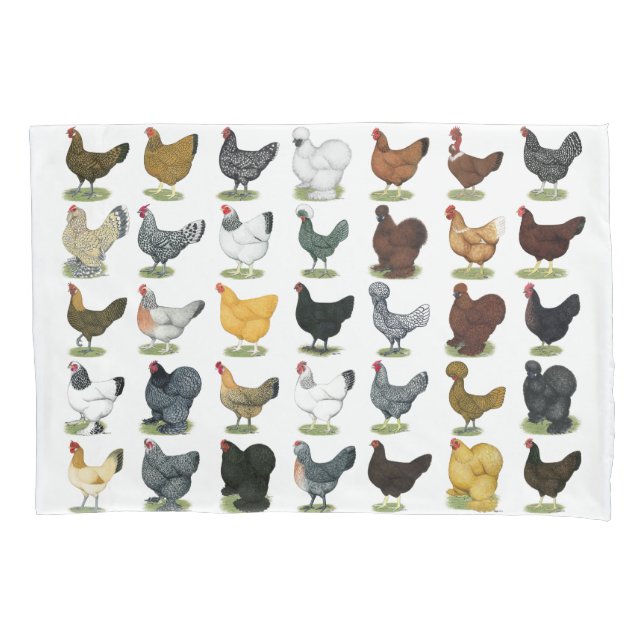 Housse D'oreillers 49 poules de poulet (devant)