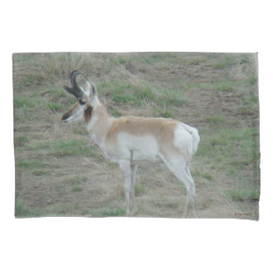 Housse D'oreillers A26 Pronghorn Antelope Buck