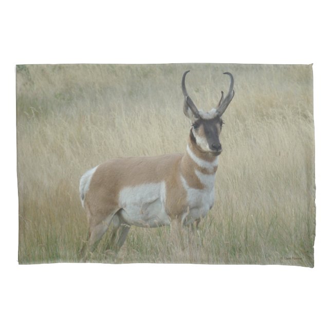 Housse D'oreillers A8 Pronghorn Antelope Big Buck (devant)