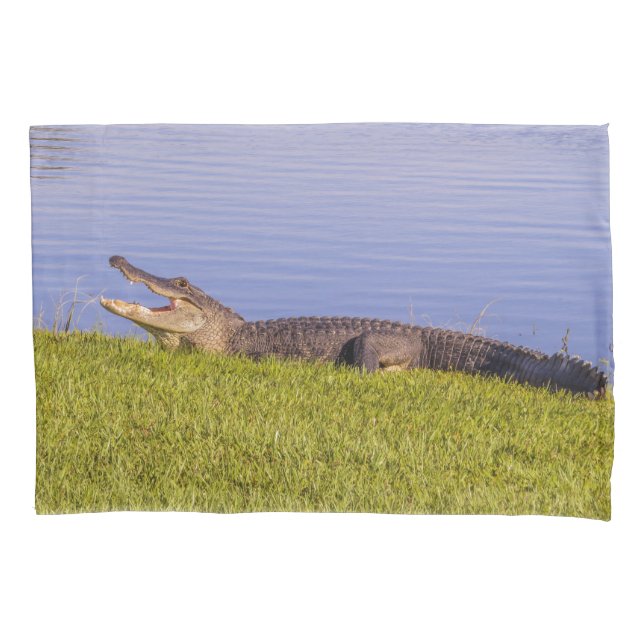Housse D'oreillers Alligator américain (devant-gauche)