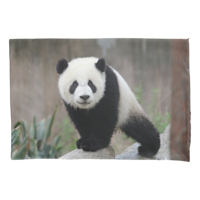 Housse D'oreillers Animaux de bébés cutest | Baby Panda géant (devant)