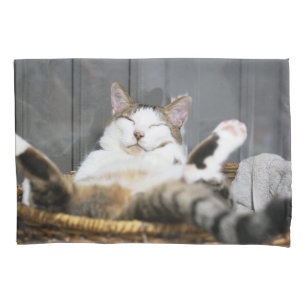 Housse D'oreillers Animaux de bébés cutest Chat dans le lit