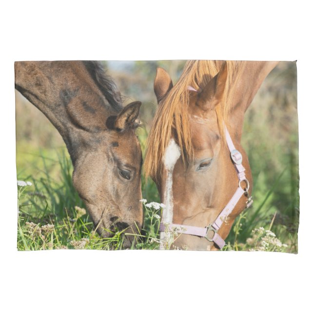 Housse D'oreillers Animaux de bébés cutest | Colt à cheval (devant)