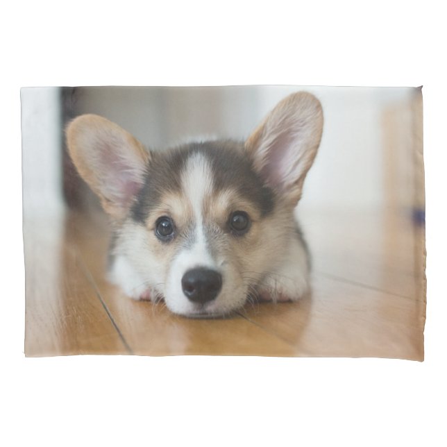 Housse D'oreillers Animaux de bébés cutest | Corgi Puppy (devant)