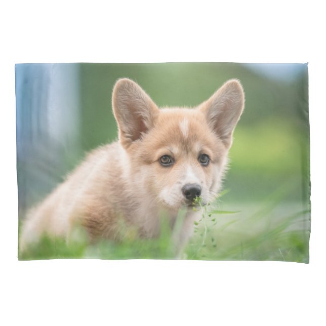 Housse D'oreillers Animaux de bébés cutest | Corgi Puppy dans le tria (devant)