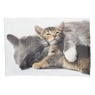 Housse D'oreillers Animaux de bébés cutest   Cute Kitten Hug