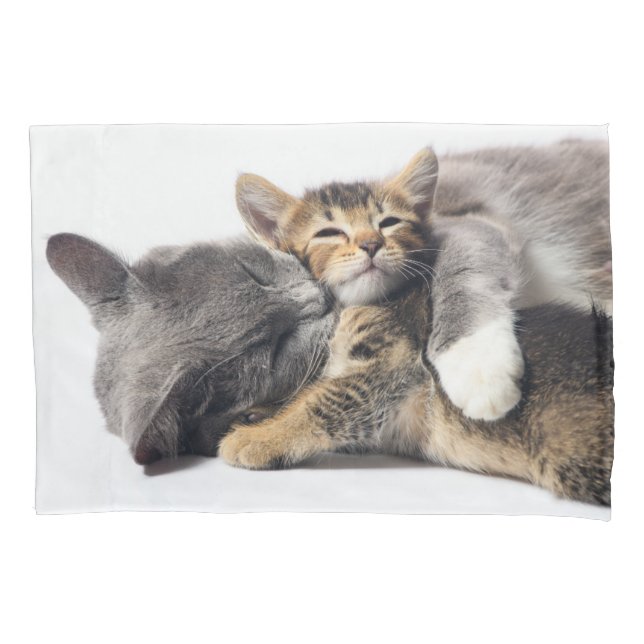 Housse D'oreillers Animaux de bébés cutest | Cute Kitten Hug (devant)