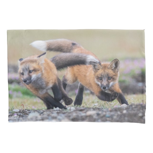 Housse D'oreillers Animaux de bébés cutest | Fox Pups en jeu (devant)