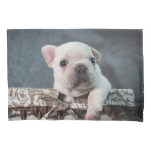 Housse D'oreillers Animaux de bébés cutest French Bulldog