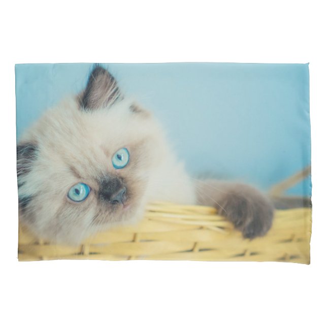 Housse D'oreillers Animaux de bébés cutest | Himalaya Seal Point Cat (devant)