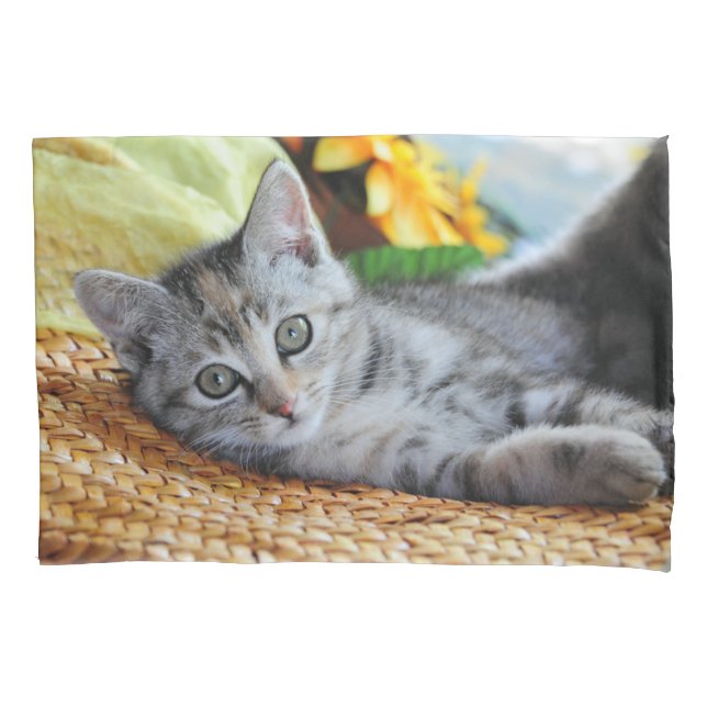 Housse D'oreillers Animaux de bébés cutest | Lounge Kitten (devant)