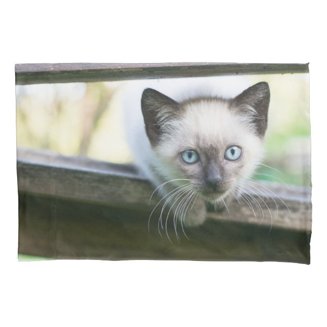 Housse D'oreillers Animaux de bébés cutest | Siamese Kitten 2 (devant)